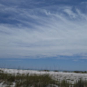 Meet your Posher, Terri